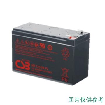 CSB 蓄电池，HR1234W/F2 (如需配线提前沟通) 售卖规格：1个