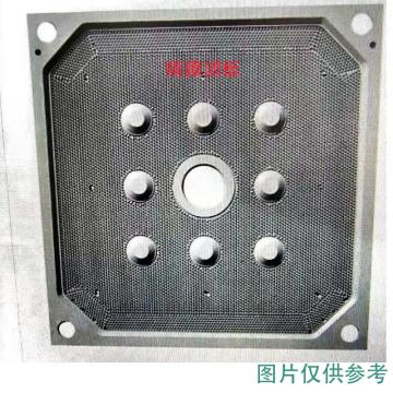 润达 隔膜滤板,2000*2000U型