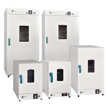 精宏 电热恒温干燥箱，DHG-9011A 控温范围室温+10-200℃，容积15L 售卖规格：1台