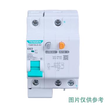 天正电气 微型剩余电流保护断路器，TGB1NLE-63 4P D63 30mA(祥云3.0) 售卖规格：1个
