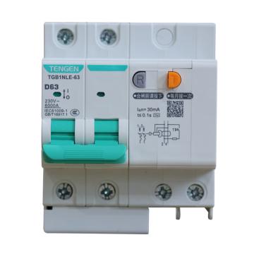 天正电气 微型剩余电流保护断路器，TGB1NLE-63 2P D63 30mA(祥云3.0) 售卖规格：1个