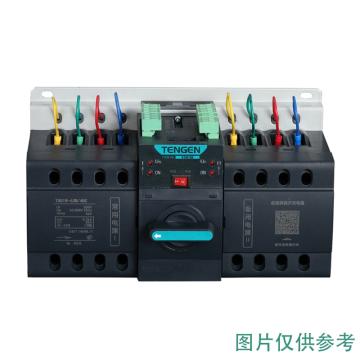 天正电气 双电源自动转换开关，TGQ1N-125L/4 YB 100A(祥云3.0) 售卖规格：1个