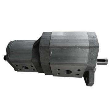 墨隆 ZYJ液压架柱钻机配件 双联齿轮装置，2CB-FA40/10 售卖规格：1件