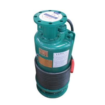 心传 矿用隔爆型潜水排沙电泵，心传 BQS30-105/2-22/N 售卖规格：1台