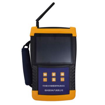 扬州国浩电气 手持氧化锌避雷器带电测试仪，GHZA8520 售卖规格：1台