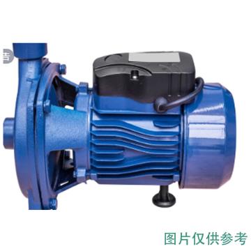 东方泵业 循环泵，DFG100-315/4/15（铸铁材质）