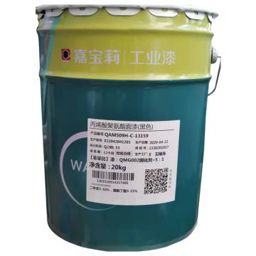 嘉宝莉/CARPOLY 丙烯酸聚氨酯面漆，PB11孔雀蓝，24kg/组 售卖规格：24公斤/组