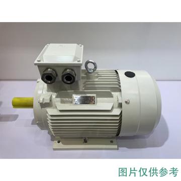 江苏大中 超高效三相交流异步电动机，YE4-180L-6/15kW/380V/30.7A/50HZ/F/IP55/B5