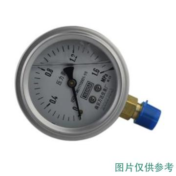 万达 耐震压力表，YJ-FN 不锈钢+铜,径向不带边Φ100,1.6级,-0.1~0.06MPa,M20*1.5,充甘油 售卖规格：1个