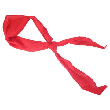 晨光 1米红领巾，ASCN9524 售卖规格：1个