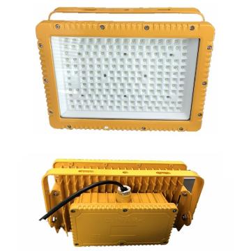 飞赫电器 LED免维护防爆灯，FBLD200，100W，单位：个