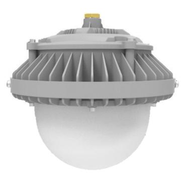 飞赫电器 LED免维护平台灯， FH701，100W，单位：个