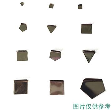 富月 砝码，不锈钢经典系列，JF-1砝码钢，E1，200mg 售卖规格：1个