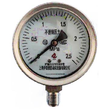 伊科 不锈钢耐震压力表，YTNB-100 0～25MPa,M20*1.5,1.6级,径向 售卖规格：1块