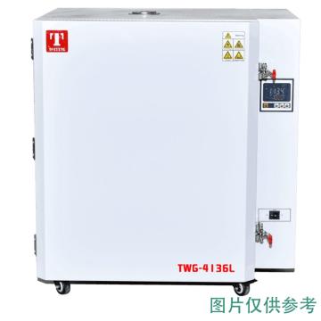 泰斯特/Taisite 高温鼓风干燥箱，TWG-6050L 售卖规格：1台