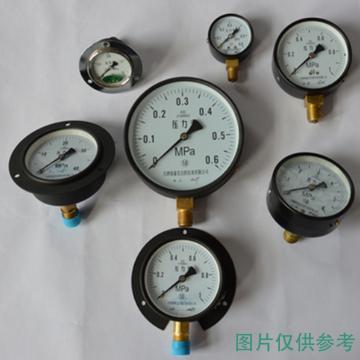 天津纽泰克 机械压力表，Y150*0.6MPa 测量元件：铜,碳钢表壳,M20*1.5 售卖规格：1个