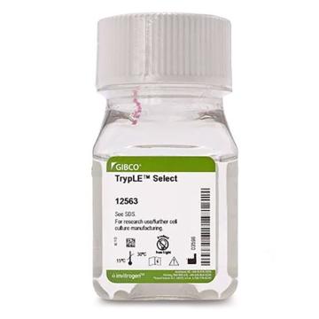 Gibco TrypLE™ Select 酶 (1X)，无酚红，12563011 ，100ml 售卖规格：1件