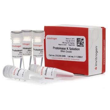 Invitrogen GeneArt RNA 级蛋白酶 K 溶液 (20 mg/mL)，25530049 ，5 mL 售卖规格：1瓶