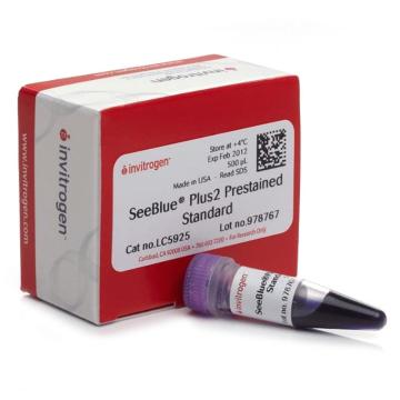 Invitrogen GeneArt SeeBlue™ Plus2 预染蛋白标准品，LC5925 ，500 µL 售卖规格：1瓶
