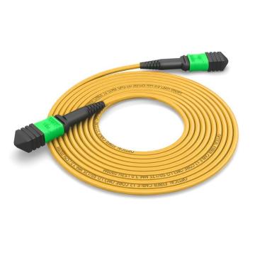 海乐 单模MPO-MPO光纤跳线12芯，MPO-S12-5M OS2万兆单模40/100G/200G模块用跳纤 5米 售卖规格：5米/条