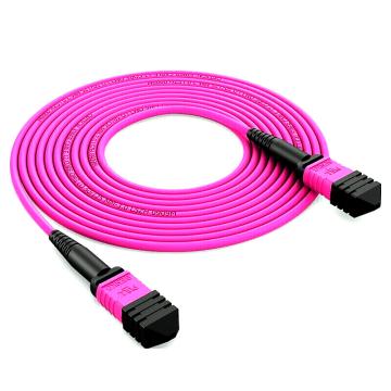 海乐 多模万兆MPO-LC光纤跳线，MPO-MTA24-LC-2M 24芯OM4 100G转10对LC MPO分支光纤跳纤 2米 售卖规格：2米/条