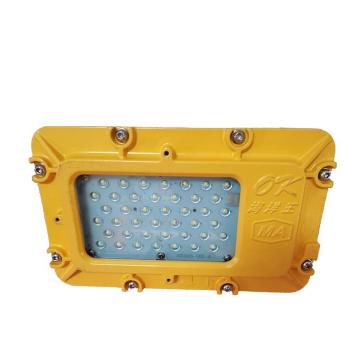 海洋王/OK 矿用隔爆型LED支架灯，DGC35/127L（A） 含网罩 售卖规格：1个