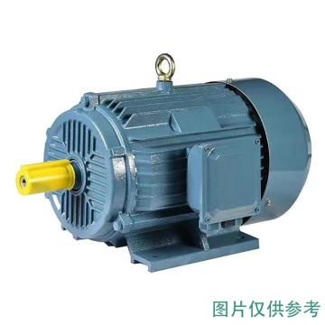 皖达 卧式电机，YE3-160M1-8/4KW 安装形式：B3，电机接线盒位置0度 售卖规格：1台