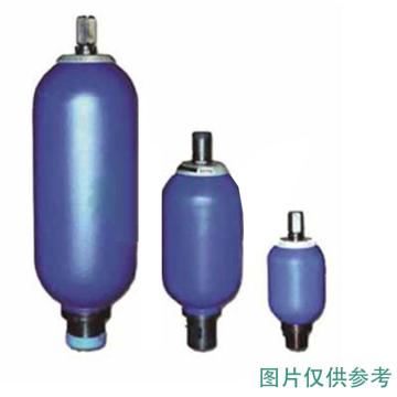黎明液压/LEEMIN 蓄能器，NXQ-A10/20LY10-L 售卖规格：1个