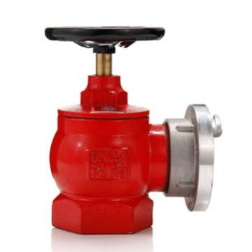 沱雨 室内消防栓，1.6MPa\铸铁，SNJ65- 售卖规格：1个