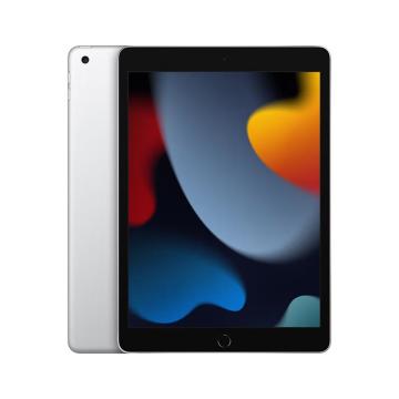 苹果/APPLE 平板电脑，MK2N3CH/A iPad 10.2 英寸 （256GB WLAN版/A13芯片/iPadOS）银色 售卖规格：1台