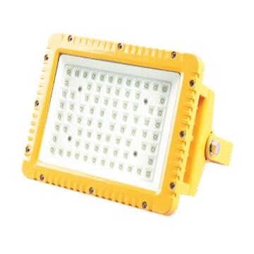 明特佳 LED防爆投光灯，FTD8201-L100，100W，白光，单位：个