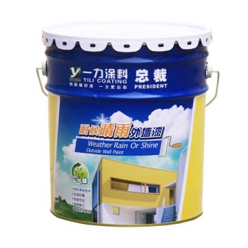 楚天龙/CTL 外墙乳胶漆，外墙乳胶漆，白色，20kg/桶 售卖规格：20公斤/桶