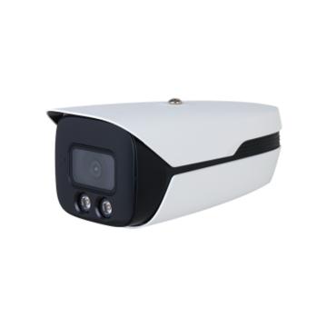 大华 头盔检测相机，DH-IPC-HFW4443M1-YL-PV-AS-TKJC 8mm 售卖规格：1个