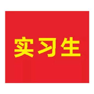 粤全识 臂章 实习生 臂章布 内容UV 红底黄字，90mm×105mm 实习生 售卖规格：1个