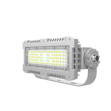 欧辉照明 LED三防灯，OHSF9162-80W，80W，白光，单位：个