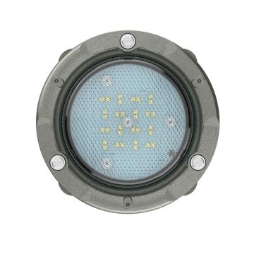 欧辉照明 LED防爆灯，OHBF9185-10W，10W，白光，单位：个