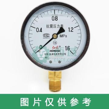 红旗 耐震压力表，YN63 0-6mpa,M14*1.5,径向不带边 售卖规格：1块