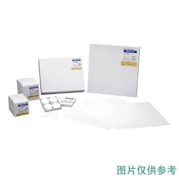 ADVANTEC 玻璃纤维滤纸 GD-120 300×300mm 36423300 1盒(10张)，4-908-76 售卖规格：1盒
