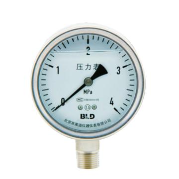 布莱迪/BLD 耐震压力表，YTHN-150.AO.531.M220.M20 售卖规格：1块