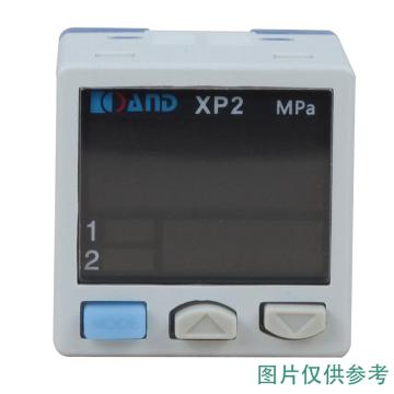 艾而特 数字式压力开关，XP2-080-01 售卖规格：1只