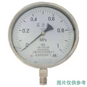 上自仪 压力表，Y-60BF/0-1Mpa/M14*1.5/304+禁油，定制产品，介质为氩气、氮气
