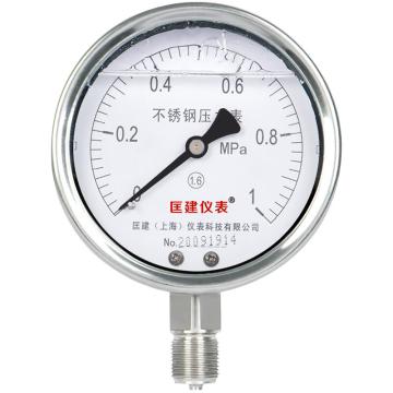 匡建仪表 耐震压力表，YN-100BF 316L机芯 0-1mpa 表盘10厘米 售卖规格：1个