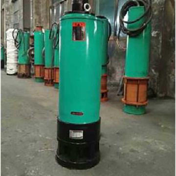 瑞械 下吸式异步潜污泵,WQ260-24-37KW