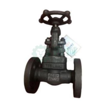 国工阀门 碳钢法兰截止阀，锻钢法兰J41H-16C，DN25 售卖规格：1台