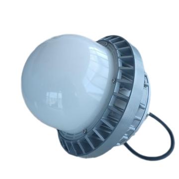维莱奥斯 PTD1001 50W IP65 WF2 220V 吊杆安装 白光 LED平台灯,单位：套