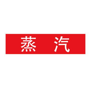 Raxwell 管道标识（小）-蒸汽，120*30mm，红底白字，RSSP0028 售卖规格：1个