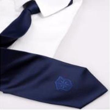 杜邦 领带，F-LD-0101（蓝色拉链）
