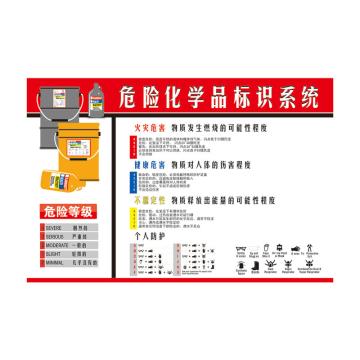 Raxwell 安全教育挂图-危险化学品标识系统，750mm（长）*500mm（宽），3M不干胶，RSSJ0091 售卖规格：1个