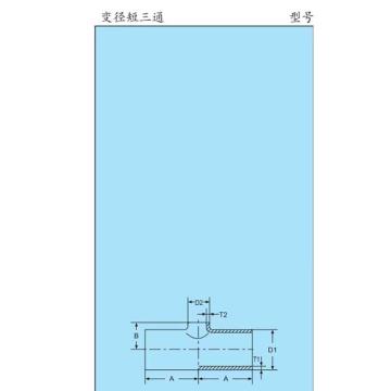 溧阳四方 DIN等径短三通，316L-28*1.5c7