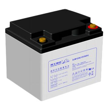 理士 AGM系列阀控式密封铅酸蓄电池，DJM1238 (如需配线提前沟通) 售卖规格：1块